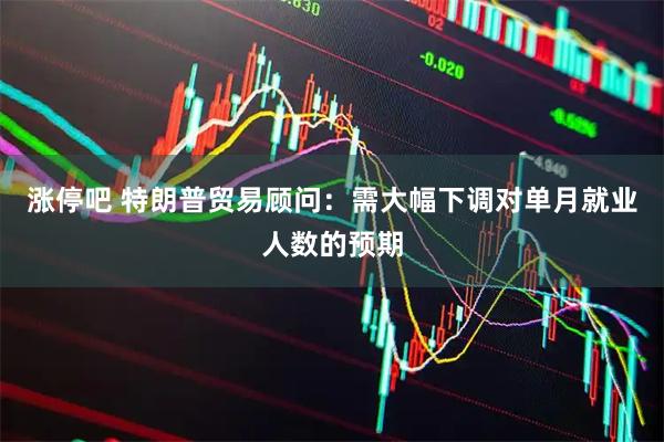 涨停吧 特朗普贸易顾问：需大幅下调对单月就业人数的预期