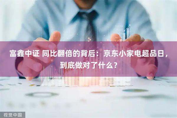富鑫中证 同比翻倍的背后：京东小家电超品日，到底做对了什么？